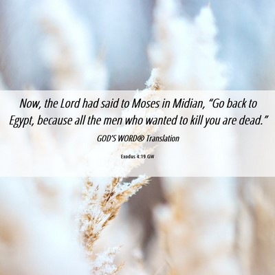 Picture 06 - Exodus 4:19 GW - Now, the Lord had said to Moses in Midian, “Go - Bible Verse Picture