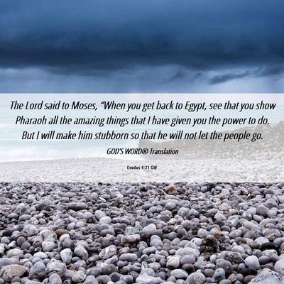 Picture 06 - Exodus 4:21 GW - The Lord said to Moses, “When you get back to - Bible Verse Picture