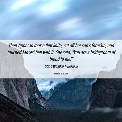 Picture 06 - Exodus 4:25 GW - Then Zipporah took a flint knife, cut off her - Bible Verse Picture