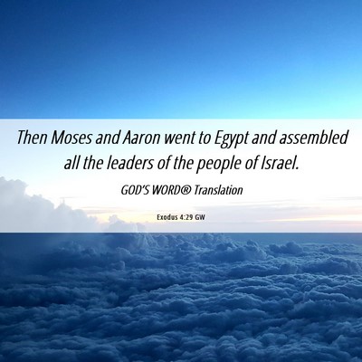 Picture 06 - Exodus 4:29 GW - Then Moses and Aaron went to Egypt and assembled - Bible Verse Picture