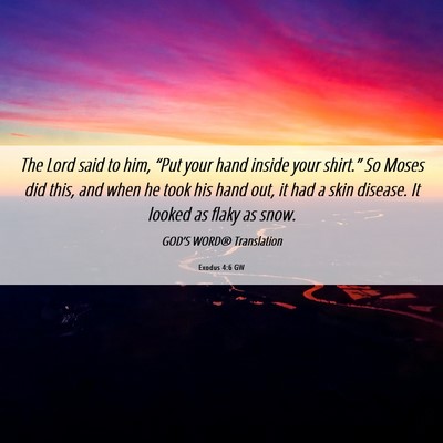Picture 06 - Exodus 4:6 GW - The Lord said to him, “Put your hand inside - Bible Verse Picture