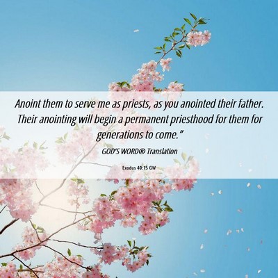Picture 06 - Exodus 40:15 GW - Anoint them to serve me as priests, as you - Bible Verse Picture