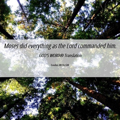 Picture 06 - Exodus 40:16 GW - Moses did everything as the Lord commanded - Bible Verse Picture