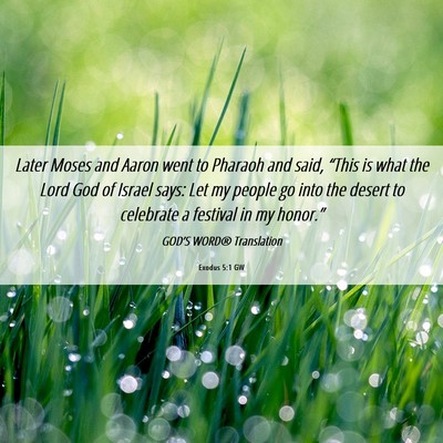Picture 06 - Exodus 5:1 GW - Later Moses and Aaron went to Pharaoh and said, - Bible Verse Picture