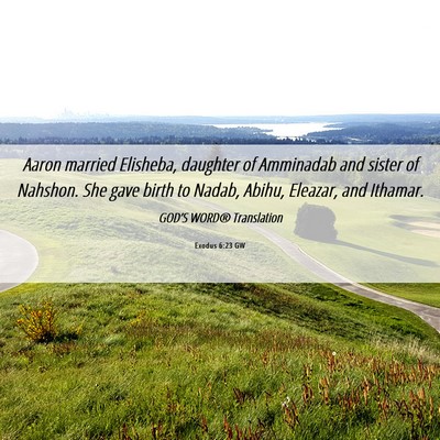 Picture 06 - Exodus 6:23 GW - Aaron married Elisheba, daughter of Amminadab and - Bible Verse Picture