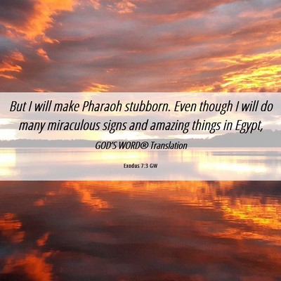 Picture 06 - Exodus 7:3 GW - But I will make Pharaoh stubborn. Even though I - Bible Verse Picture