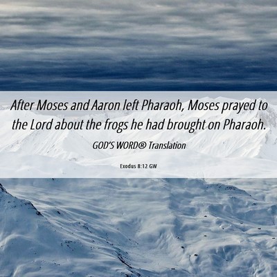 Picture 06 - Exodus 8:12 GW - After Moses and Aaron left Pharaoh, Moses prayed - Bible Verse Picture