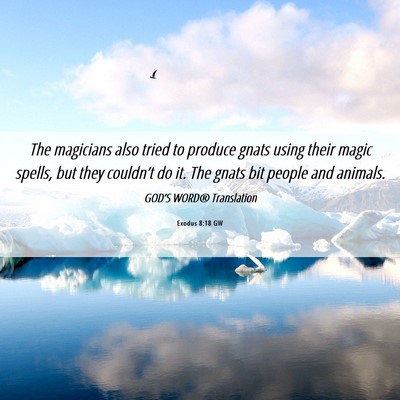 Picture 06 - Exodus 8:18 GW - The magicians also tried to produce gnats using - Bible Verse Picture