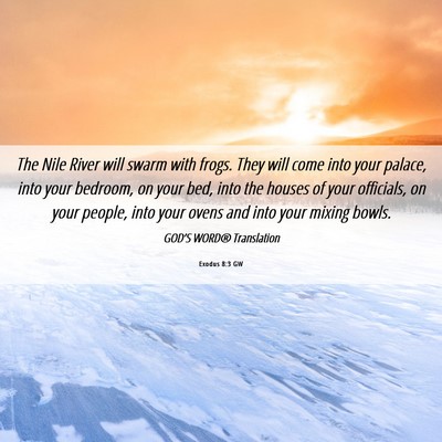 Picture 06 - Exodus 8:3 GW - The Nile River will swarm with frogs. They will - Bible Verse Picture