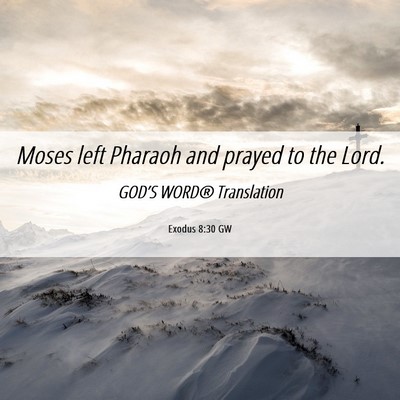Picture 06 - Exodus 8:30 GW - Moses left Pharaoh and prayed to the - Bible Verse Picture