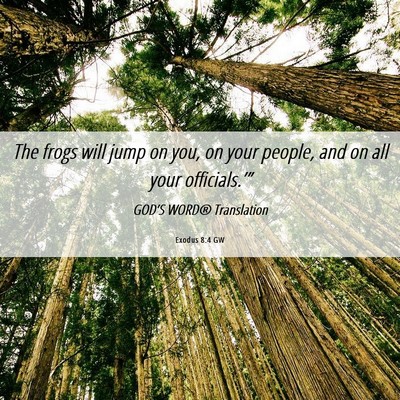 Picture 06 - Exodus 8:4 GW - The frogs will jump on you, on your people, and - Bible Verse Picture