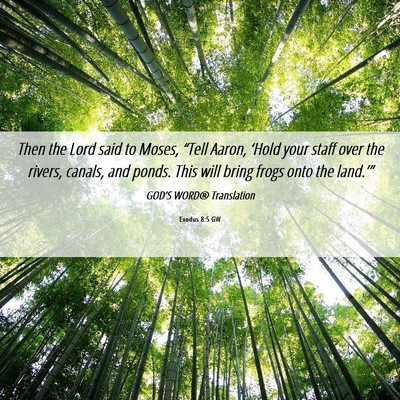 Picture 06 - Exodus 8:5 GW - Then the Lord said to Moses, “Tell Aaron, - Bible Verse Picture