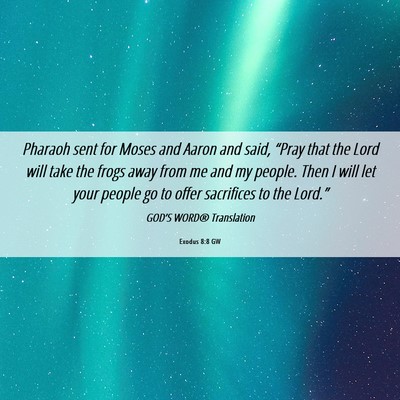 Picture 06 - Exodus 8:8 GW - Pharaoh sent for Moses and Aaron and said, - Bible Verse Picture