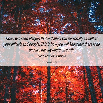 Picture 06 - Exodus 9:14 GW - Now I will send plagues that will affect you - Bible Verse Picture
