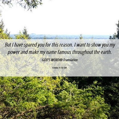 Picture 06 - Exodus 9:16 GW - But I have spared you for this reason. I want to - Bible Verse Picture