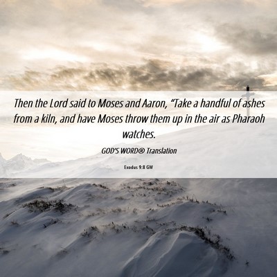 Picture 06 - Exodus 9:8 GW - Then the Lord said to Moses and Aaron, “Take a - Bible Verse Picture