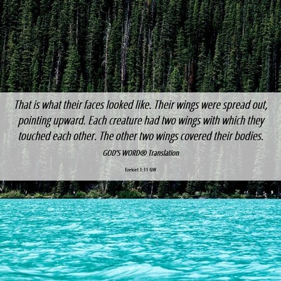 Picture 06 - Ezekiel 1:11 GW - That is what their faces looked like. Their wings - Bible Verse Picture