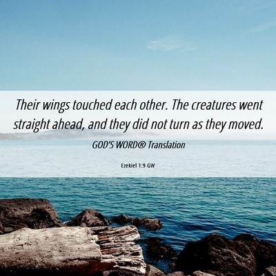 Picture 06 - Ezekiel 1:9 GW - Their wings touched each other. The creatures - Bible Verse Picture