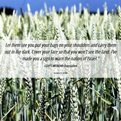 Picture 06 - Ezekiel 12:6 GW - Let them see you put your bags on your shoulders - Bible Verse Picture