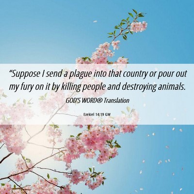 Picture 06 - Ezekiel 14:19 GW - “Suppose I send a plague into that country or - Bible Verse Picture