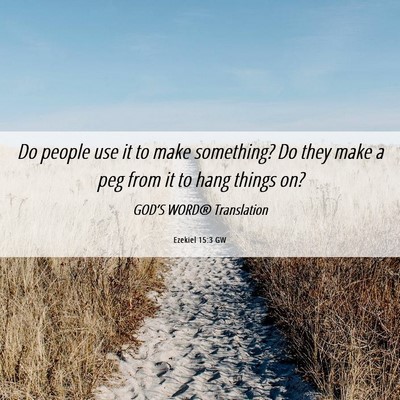 Picture 06 - Ezekiel 15:3 GW - Do people use it to make something? Do they make - Bible Verse Picture
