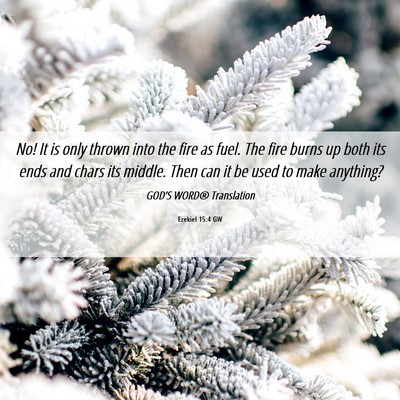 Picture 06 - Ezekiel 15:4 GW - No! It is only thrown into the fire as fuel. The - Bible Verse Picture