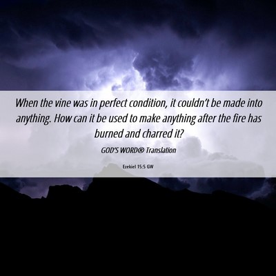 Picture 06 - Ezekiel 15:5 GW - When the vine was in perfect condition, it - Bible Verse Picture