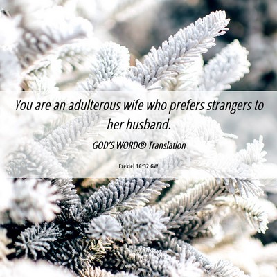 Picture 06 - Ezekiel 16:32 GW - You are an adulterous wife who prefers strangers - Bible Verse Picture