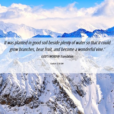 Picture 06 - Ezekiel 17:8 GW - It was planted in good soil beside plenty of - Bible Verse Picture