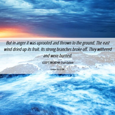 Picture 06 - Ezekiel 19:12 GW - But in anger it was uprooted and thrown to the - Bible Verse Picture