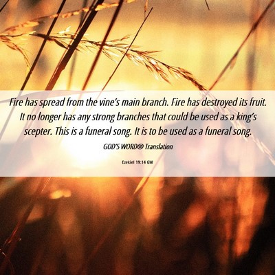 Picture 06 - Ezekiel 19:14 GW - Fire has spread from the vine’s main branch. - Bible Verse Picture