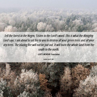 Picture 06 - Ezekiel 20:47 GW - Tell the forest in the Negev, ‘Listen to the - Bible Verse Picture