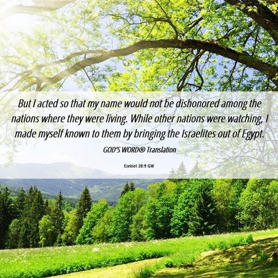 Picture 06 - Ezekiel 20:9 GW - But I acted so that my name would not be - Bible Verse Picture