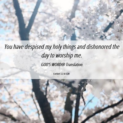 Picture 06 - Ezekiel 22:8 GW - You have despised my holy things and dishonored - Bible Verse Picture