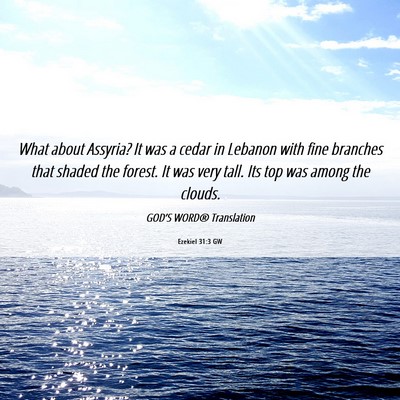 Picture 06 - Ezekiel 31:3 GW - What about Assyria? It was a cedar in Lebanon - Bible Verse Picture
