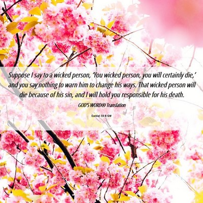 Picture 06 - Ezekiel 33:8 GW - Suppose I say to a wicked person, ‘You wicked - Bible Verse Picture