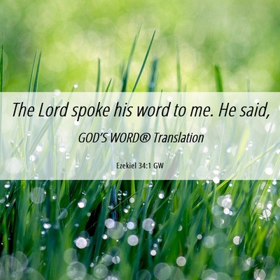 Picture 06 - Ezekiel 34:1 GW - The Lord spoke his word to me. He - Bible Verse Picture