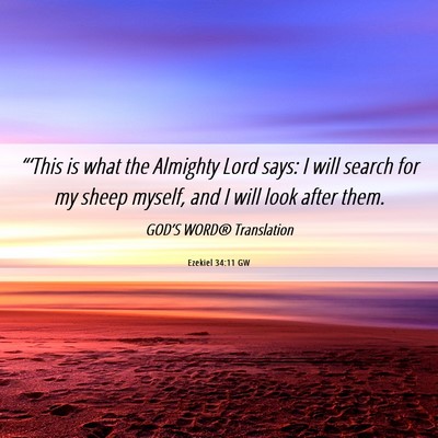 Picture 06 - Ezekiel 34:11 GW - “‘This is what the Almighty Lord says: I will - Bible Verse Picture