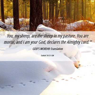 Picture 06 - Ezekiel 34:31 GW - You, my sheep, are the sheep in my pasture. You - Bible Verse Picture
