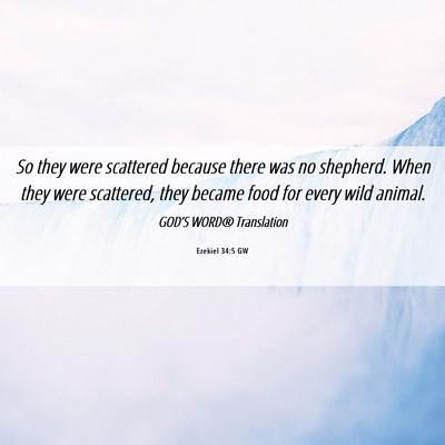 Picture 06 - Ezekiel 34:5 GW - So they were scattered because there was no - Bible Verse Picture