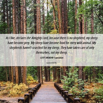 Picture 06 - Ezekiel 34:8 GW - As I live, declares the Almighty Lord, because - Bible Verse Picture