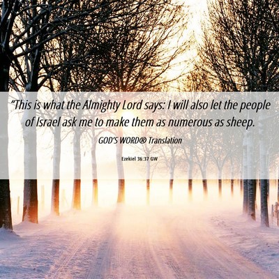 Picture 06 - Ezekiel 36:37 GW - “This is what the Almighty Lord says: I will - Bible Verse Picture