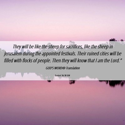 Picture 06 - Ezekiel 36:38 GW - They will be like the sheep for sacrifices, like - Bible Verse Picture
