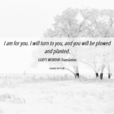 Picture 06 - Ezekiel 36:9 GW - I am for you. I will turn to you, and you will be - Bible Verse Picture