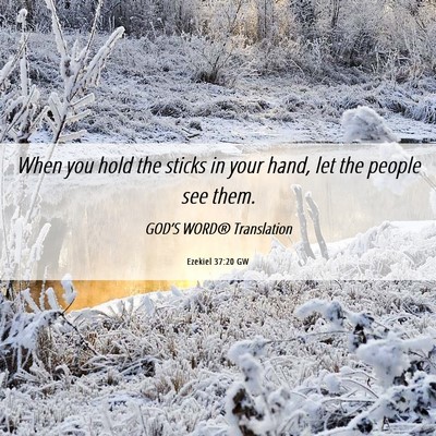 Picture 06 - Ezekiel 37:20 GW - When you hold the sticks in your hand, let the - Bible Verse Picture