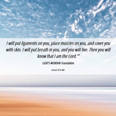 Picture 06 - Ezekiel 37:6 GW - I will put ligaments on you, place muscles on - Bible Verse Picture