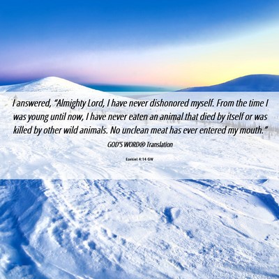 Picture 06 - Ezekiel 4:14 GW - I answered, “Almighty Lord, I have never - Bible Verse Picture