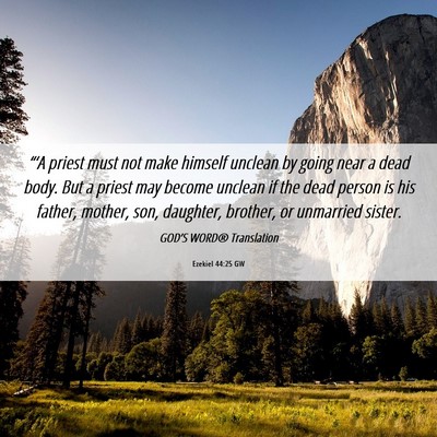 Picture 06 - Ezekiel 44:25 GW - “‘A priest must not make himself unclean by - Bible Verse Picture
