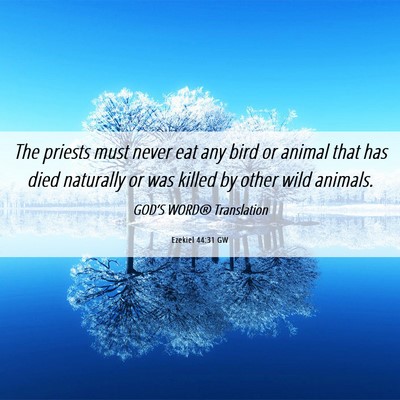 Picture 06 - Ezekiel 44:31 GW - The priests must never eat any bird or animal - Bible Verse Picture
