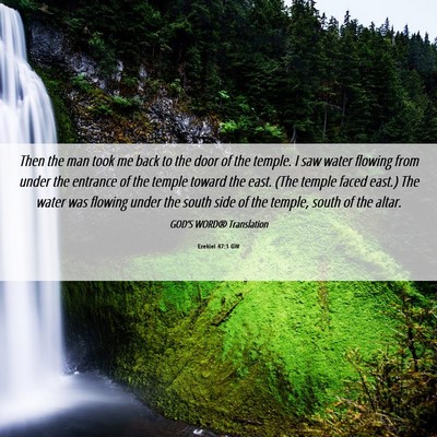 Picture 06 - Ezekiel 47:1 GW - Then the man took me back to the door of the - Bible Verse Picture